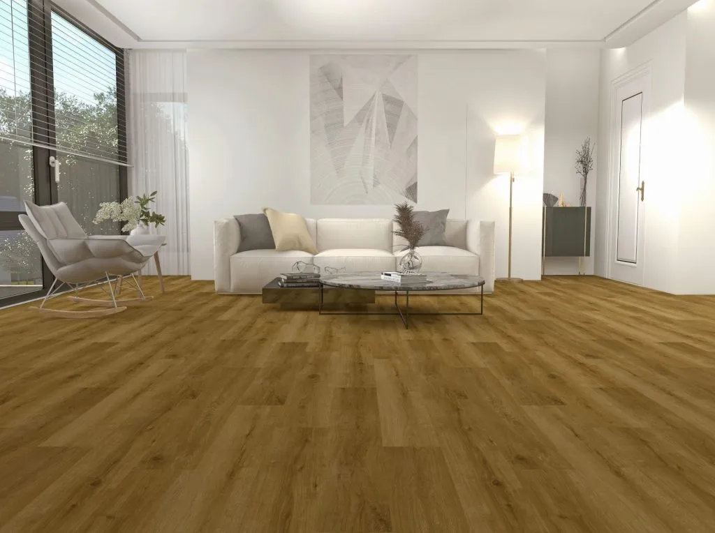 Dąb Halifax - newkoncept